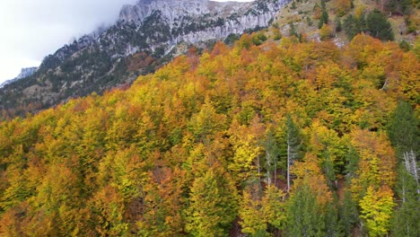 Nature-landscape-with-a-wild-forest,-tall-trees-and-high-mountain-peaks-on-clouds-in-Albania