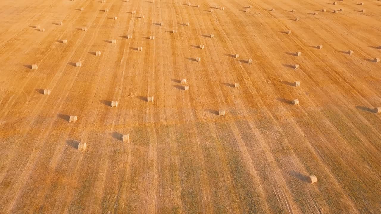 The drone flies over a field where there are haystacks with hay.