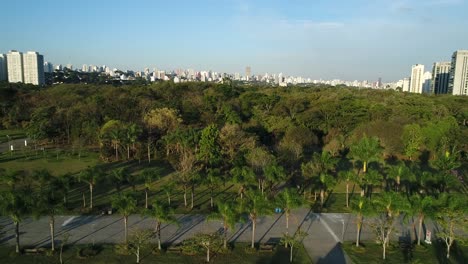 Lateral-movement-with-drone-filmed-beautiful-trees-and-walking-trail-in-public-park-full-of-lush-vegetation,-tranquility,-nature,-calm,-peace,-in-4K-resolution