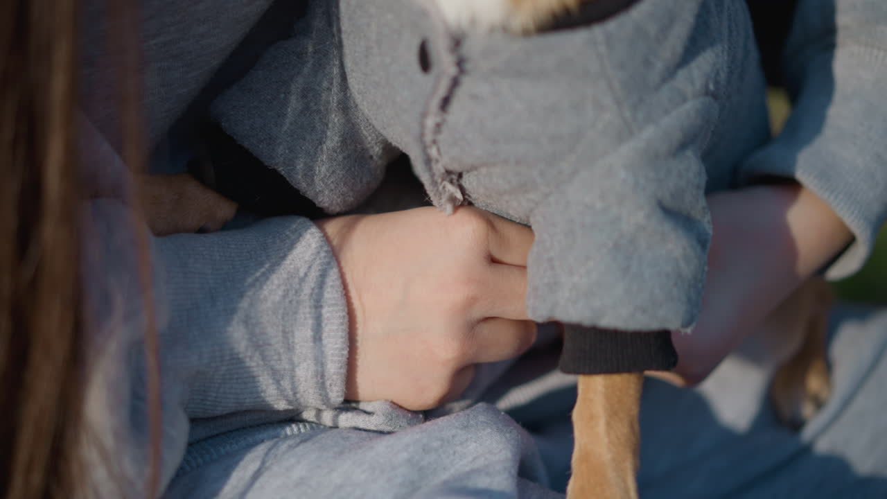 작은 강아지 옷의 단추를 채우는 손가락, 강아지용 반려동물 의류에 단추를 다는 손의 클로즈업, 조심스러운 손길로 작은 강아지 옷에 코트 단추를 잠그는 상세 뷰