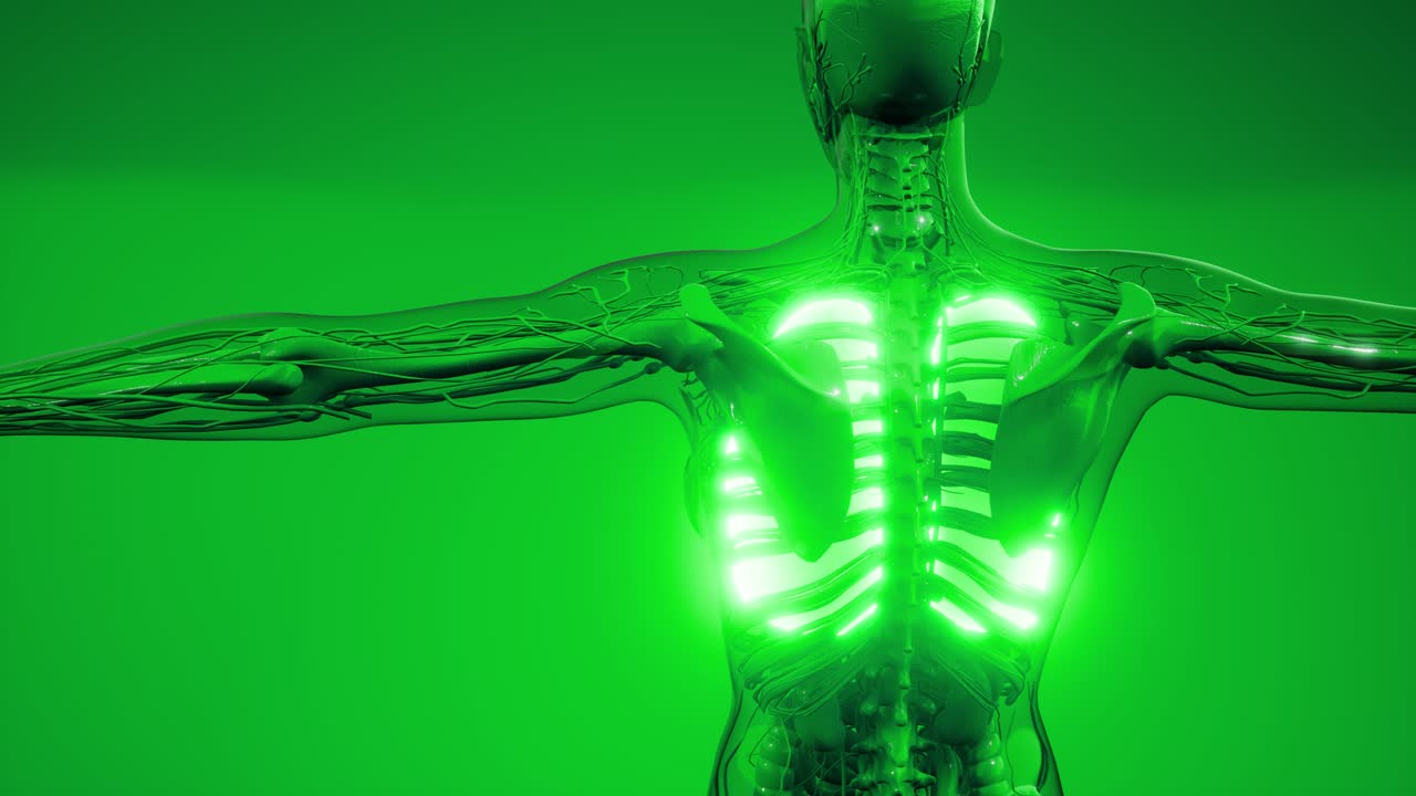 рентгенологическое обследование легких человека