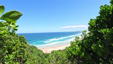 scenic ocean vista framed by green leaves