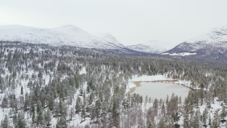 espeso bosque con lago y paisaje montañoso en el fondo durante el invierno nevado en el condado de innlandet, dovre, noruega