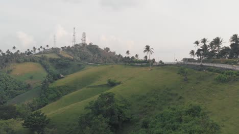 lush green tropical hills with grazing cows and communication towers
