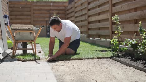 man laying sod grass in backyard garden for lawn installation and landscaping project, focused on home improvement and outdoor maintenance for a fresh, green lawn in a residential yard