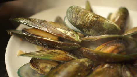 slowmo - putting fresh cooked new zealand greenshell mussels on a plate in luxury restaurant kitchen - close up detail