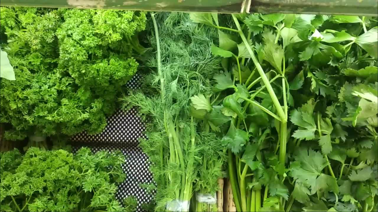 green vegetables like bell pepper, celery close up moving HD video