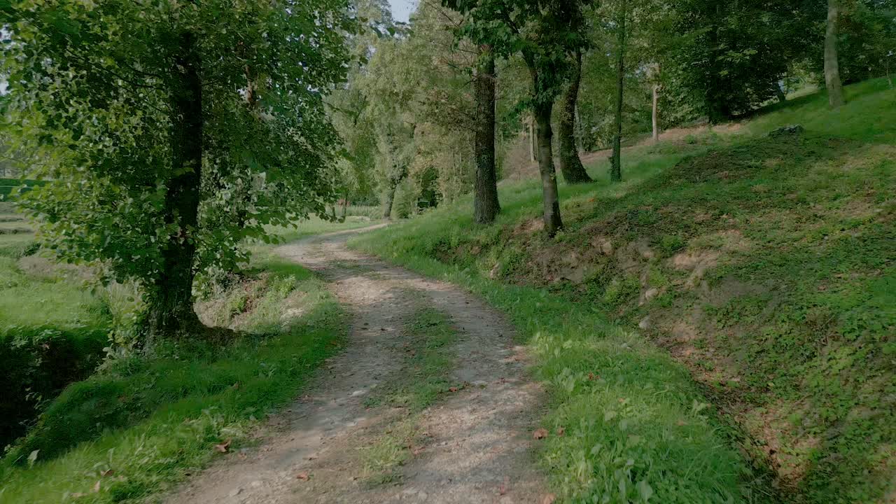 piccola strada di campagna bianca tra gli alberi