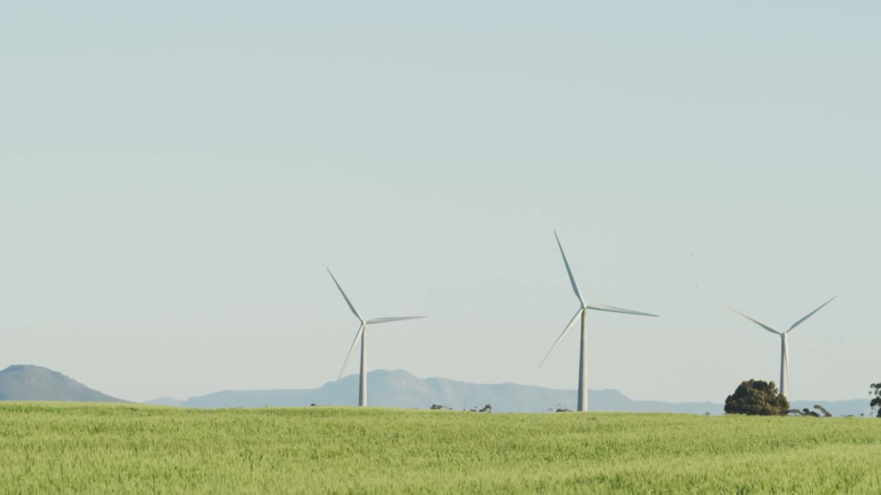 구름 없는 하늘을 가진 시골 풍경에서 풍력 터빈의 일반적인 모습