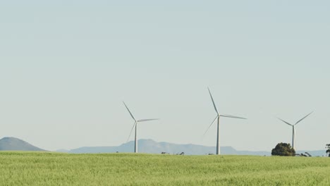 vista general de las turbinas eólicas en un paisaje rural con un cielo sin nubes