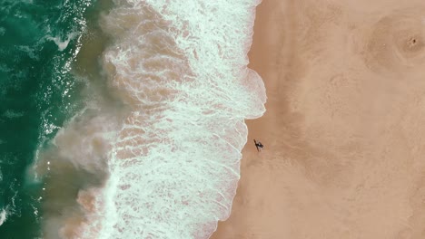 Top-view-of-a-lonely-surfer-walks-on-the-beach-while-the-wild-endless-sea-crushing-waves-on-the-sand's-coast-line