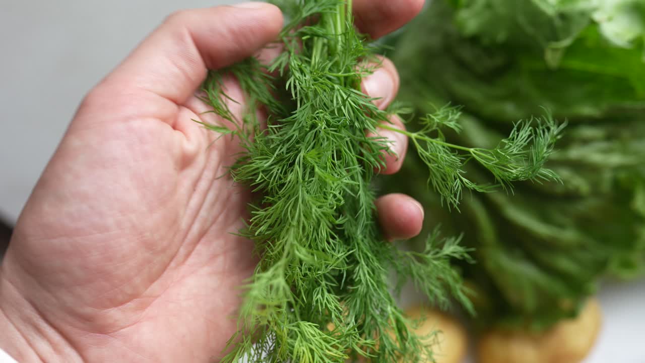 рука, держащая свежий дилл