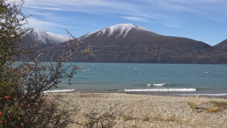 lake ohau shore in south island, new zealand - wide shot