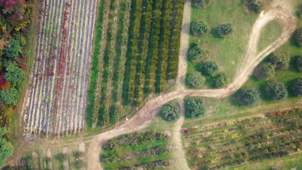 Aerial top forward view of harvest fields. Peabody. USA
