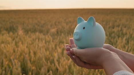 the farmer holds a piggy bank in his hands against the background of a field of wheat