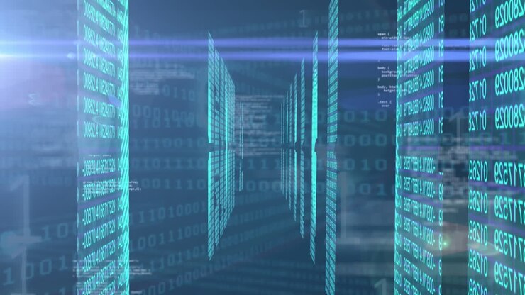Animation of data processing over binary coding