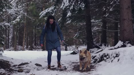 Girl-walking-dog-in-forest,-snow-on-ground,-winter-time,-front-middle-shot