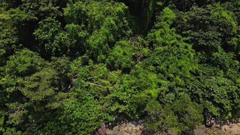 Toma-De-Inclinación-Vertical-De-Un-Dron-De-La-Jungla-Rastreando-Hacia-Abajo-Para-Revelar-La-Costa-Rocosa-Y-El-Océano