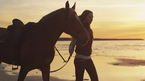 young girl and her horse walking on beach in sunset light