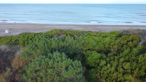 transition from a green forest to a beach and the atlantic ocean with a blue sky in the background, cariló argentina