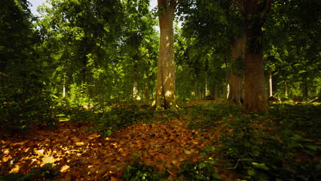 Sonnenstrahlen-Strahlen-Durch-Dichte-Baumzweige-Im-Dichten-Grünen-Wald