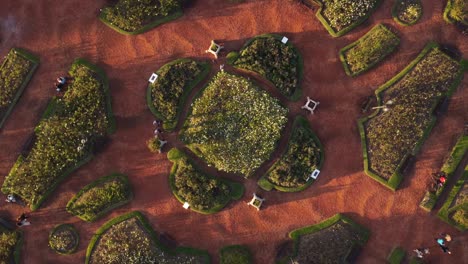Rotating top down aerial view of Rosedal de Palermo park