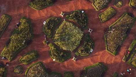 rotating top down aerial view of rosedal de palermo park