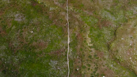 Top down aerial view of a lonely mud hiking road or pathway going straight across a grassy green and brown Sweden landscape into the distance during a cloudy day. The ground has big rocks and moss.