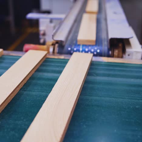 wooden boards moving on a conveyor line. modern factory of parquet production. manufacturing of furniture.