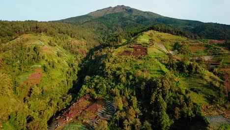 桑宾山的斜坡与山谷,种植园和<unk>林