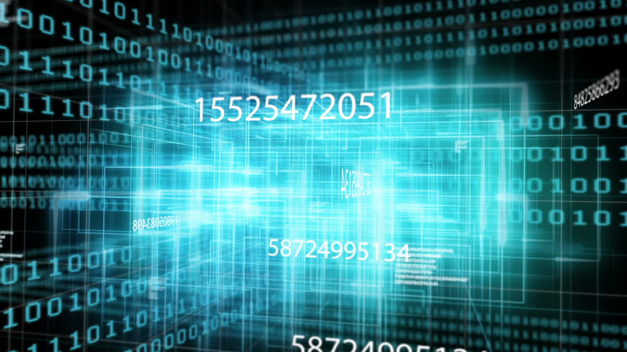 Digital code network rendering