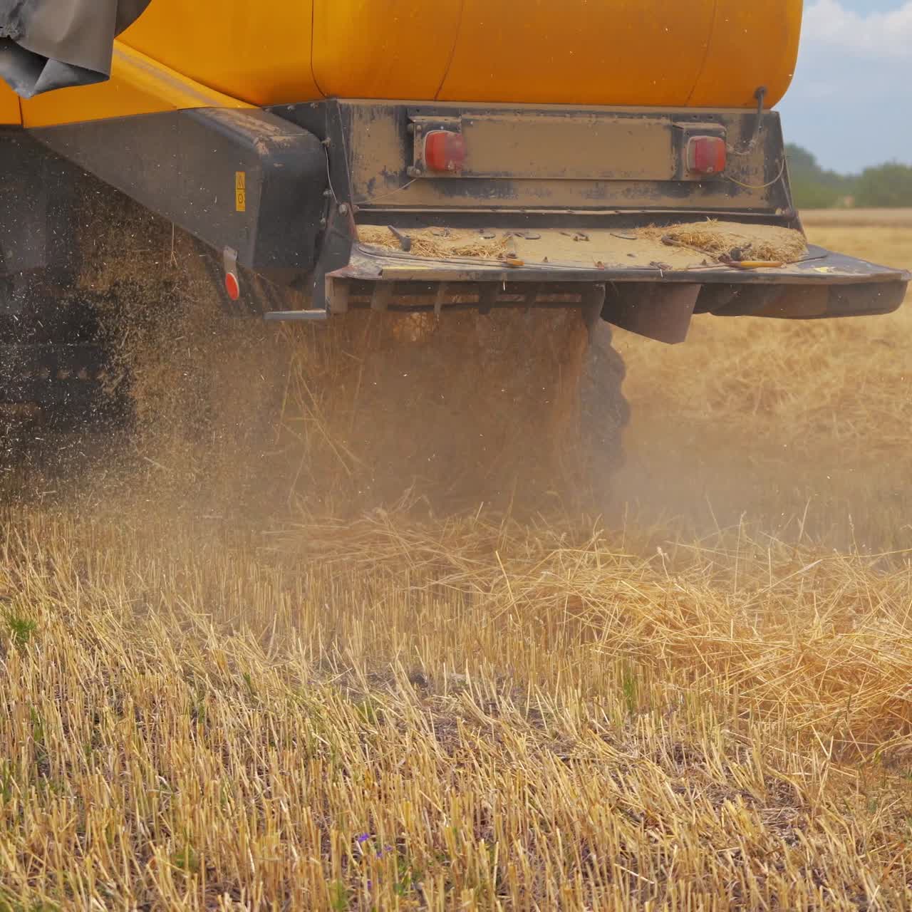 Detail of combine harvesting golden dry wheat in field. Yellow combine gathering crop in summer