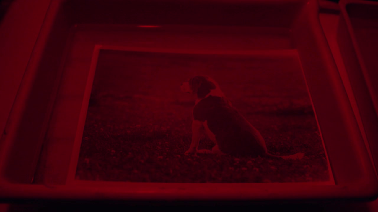 Fotografia di laboratorio in camera oscura che sviluppa una stampa fotografica monocromatica in bianco e nero sotto luce rossa.