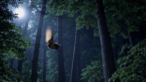 a nocturnal flying animal gliding through a dark forest