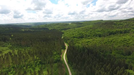 drone flight over a forest path. location verdun france.