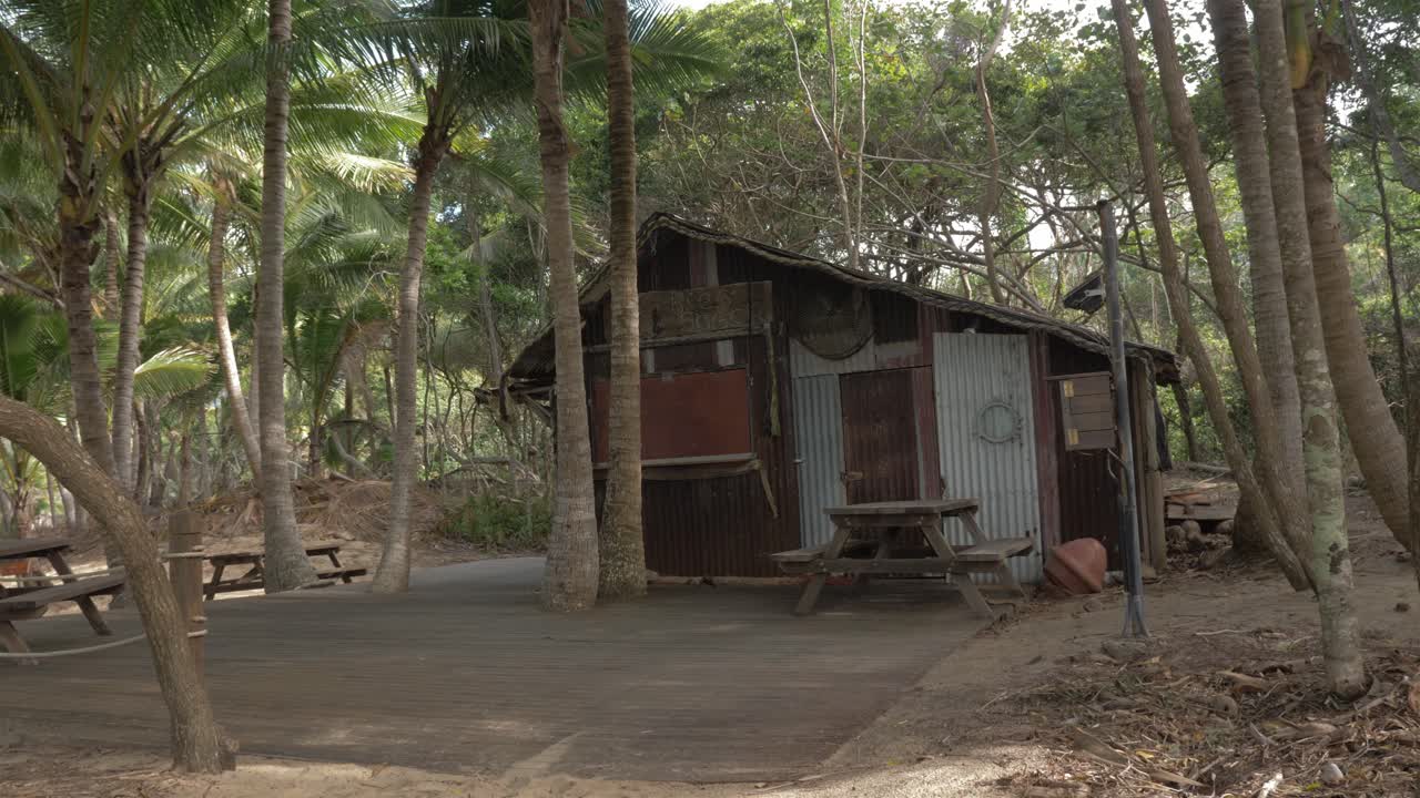 palmeras tropicales alrededor de la vieja choza en verano cerca de la playa en qld, australia