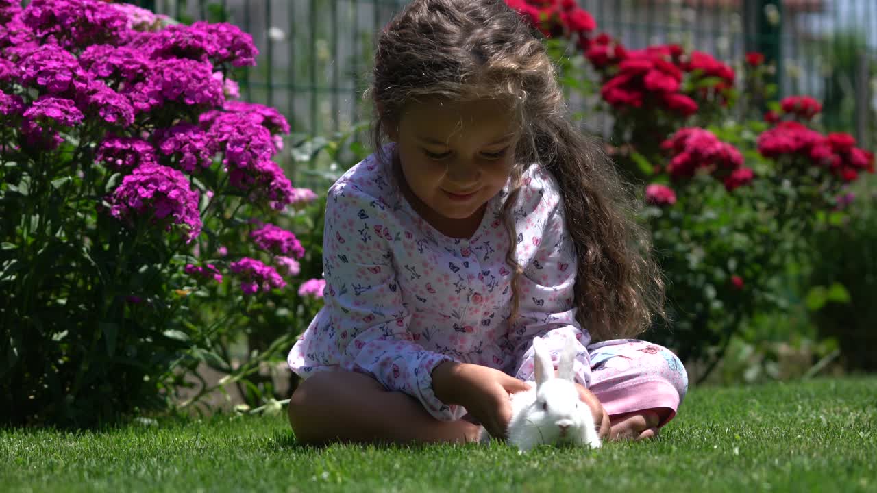 작은 소녀가 손에 토끼 토끼를 가지고 놀고 있다