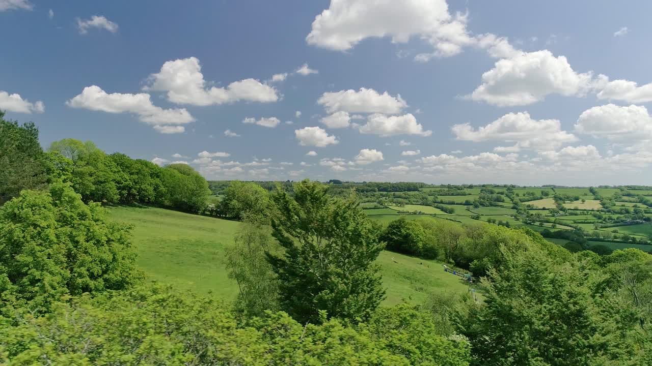 campos ingleses y copas de árboles verdes de primavera.