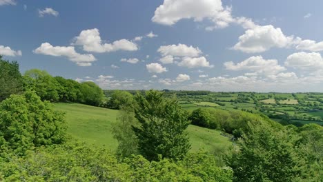 English-fields-and-green-springtime-treetops