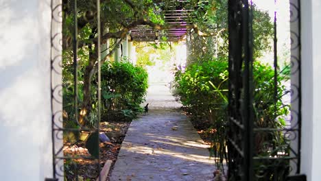 serene pathway in medina-sidonia, cádiz