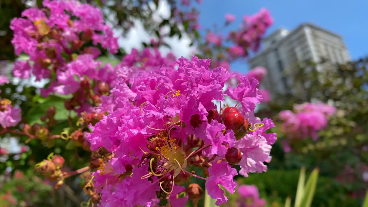 도쿄의 아름다운 경치