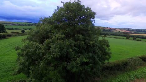 Imágenes-De-Drones-De-Un-Campo-Tranquilo