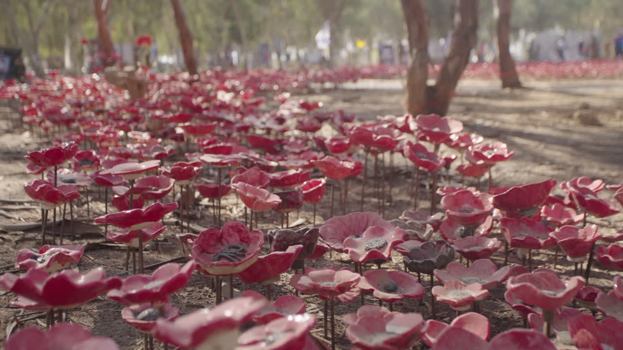 Walkthrough Slow motion of ceramic poppy flower memorial at the Nova Music Festival Site, Reim Israel