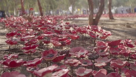 walkthrough slow motion of ceramic poppy flower memorial at the nova music festival site, reim israel