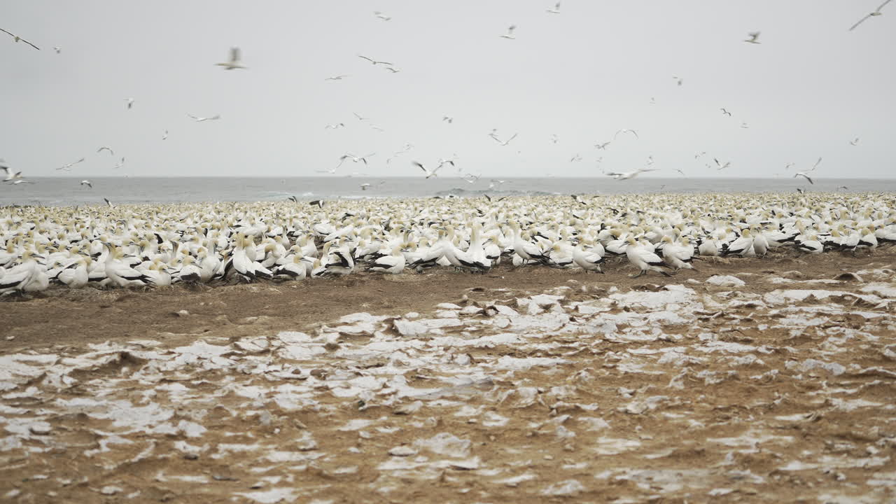 широкий снимок