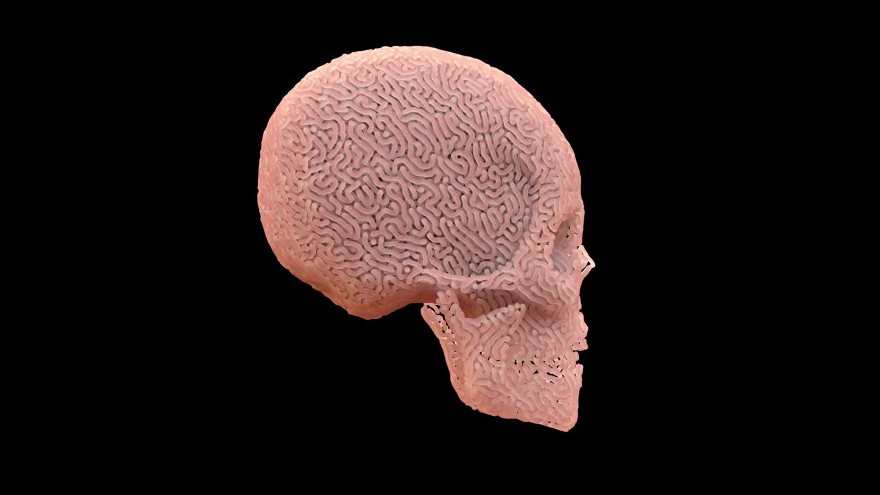 кожа вырезанный череп с альфа матом, петля