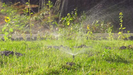 Nahaufnahme-Der-Automatischen-Sprinkleranlage-In-Betrieb