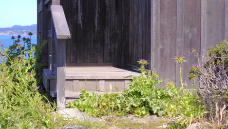 The-rustic-porch-and-entrance-to-a-cabin-at-the-famous-Steep-Ravine-oceanfront-campgrounds-near-San-Francisco,-California