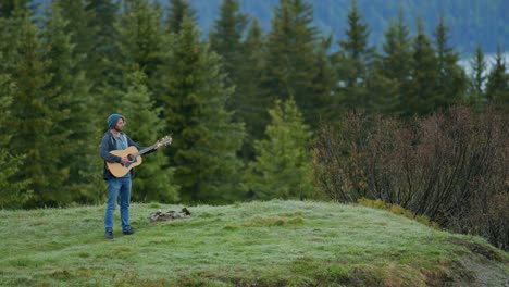 un uomo sta suonando la chitarra in cima a una montagna circondata da una foresta