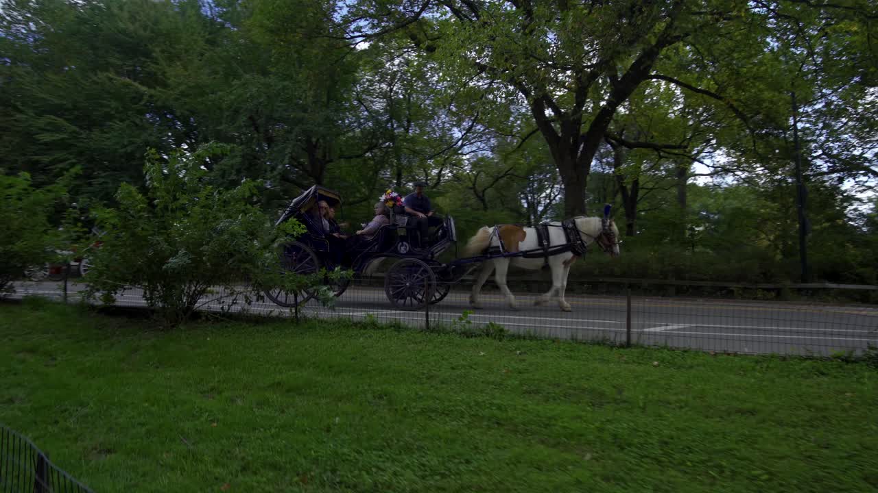 Motion shot Horse and Carriage Ride in Central Park, guided tour through nature Landscape